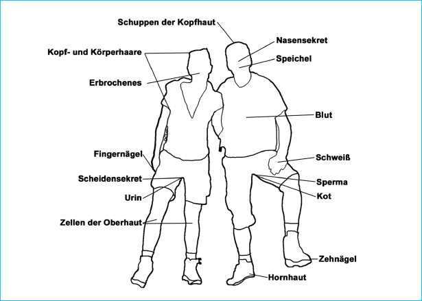 DNS_Spuren.jpg DNS_Spuren.jpg